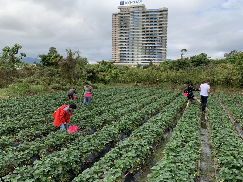 膜結(jié)構(gòu)車棚