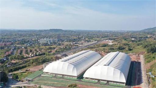 1710237271264257.jpeg 16611326773347883.jpeg